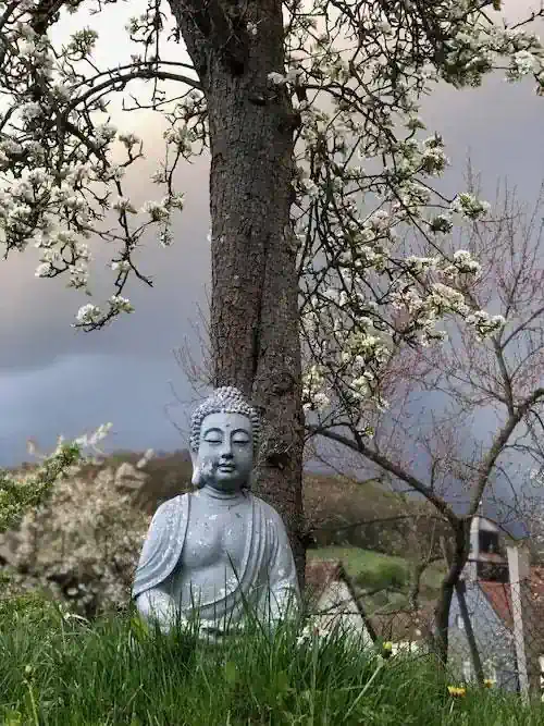Buddha-Figur unter blühendem Baum – Ruhe und Klarheit